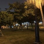 iPhone XR 開箱上手｜拍照、螢幕效果比一比｜ - APPLE, HDR, iPhone, iphonex, iPhoneXR, iPhoneXS, Netflix - 科技狗 3C DOG
