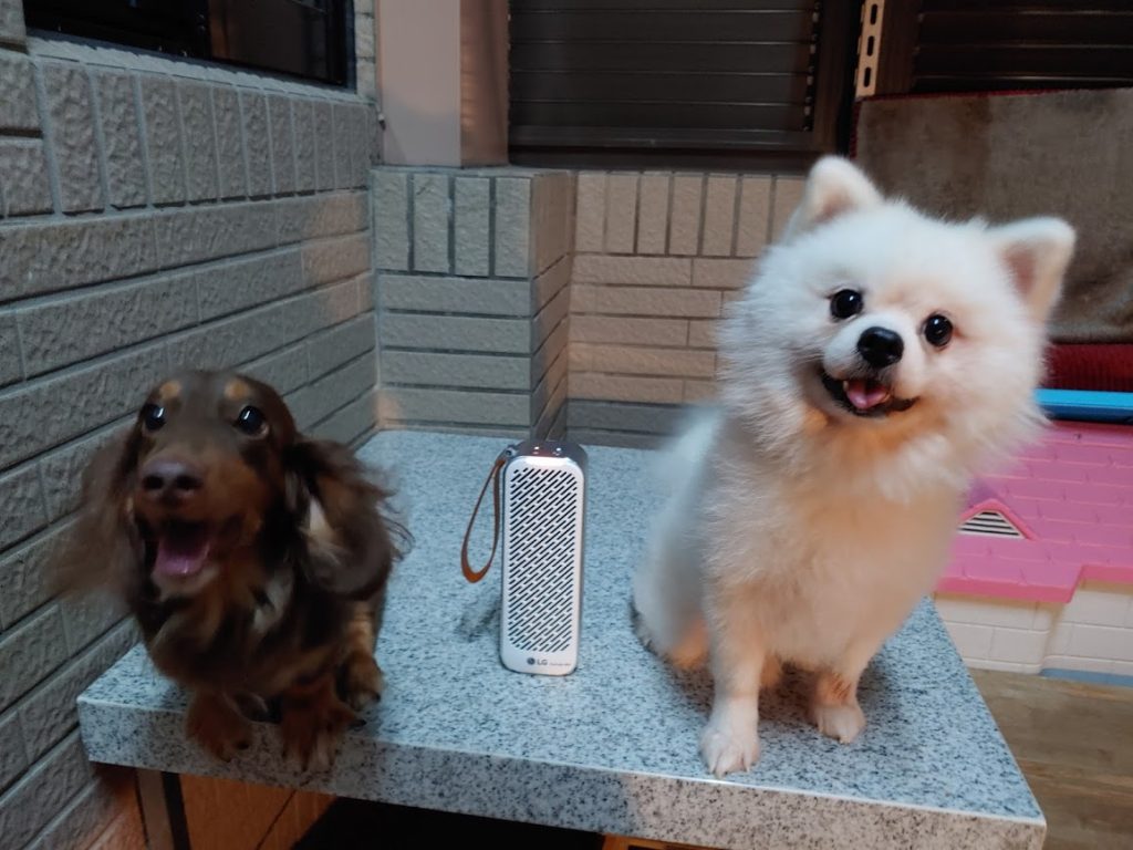 【開箱體驗】體積小、隨身帶著走!LG PuriCare™ Mini 隨身淨空氣清淨機 - LG, LG PuriCare™ Mini, MINI, PuriCare™, 家電, 居家, 空氣清淨機, 辦公, 迷你, 隨身 - 科技狗 3C DOG